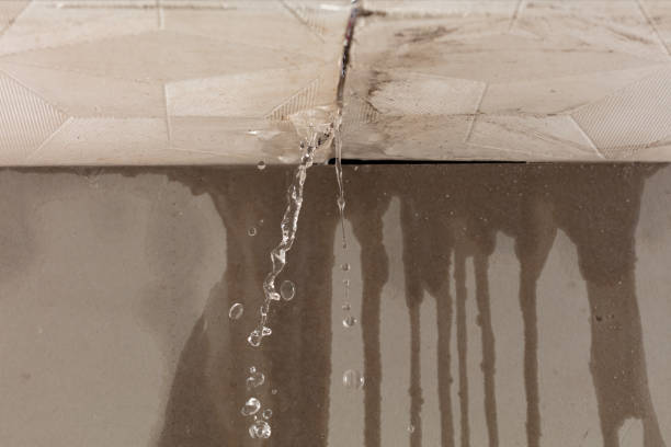 Professional Water Damage Repair technician working in Argyle, TX